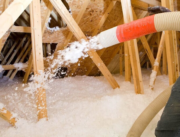 Why Coreline Section